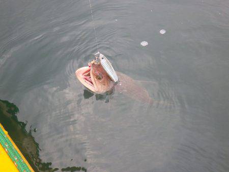 カヤックジギング